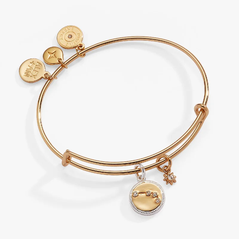 Make Every Moment Shine – Jewelry Discounts Available Aries Zodiac Charm Bangle