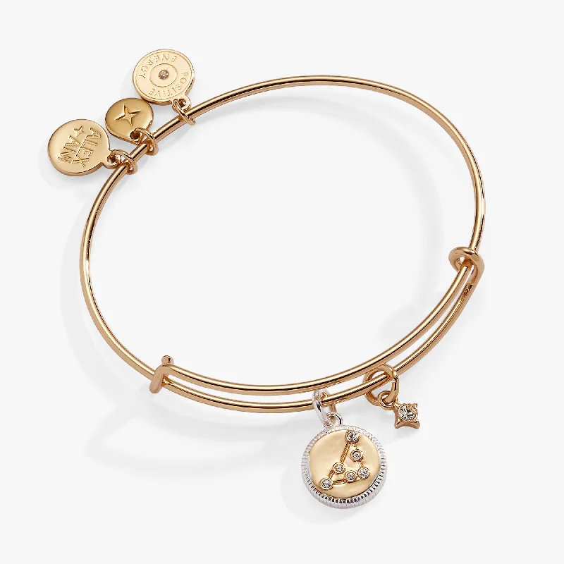 Timeless Elegance At Unbelievable Discounts Capricorn Zodiac Charm Bangle