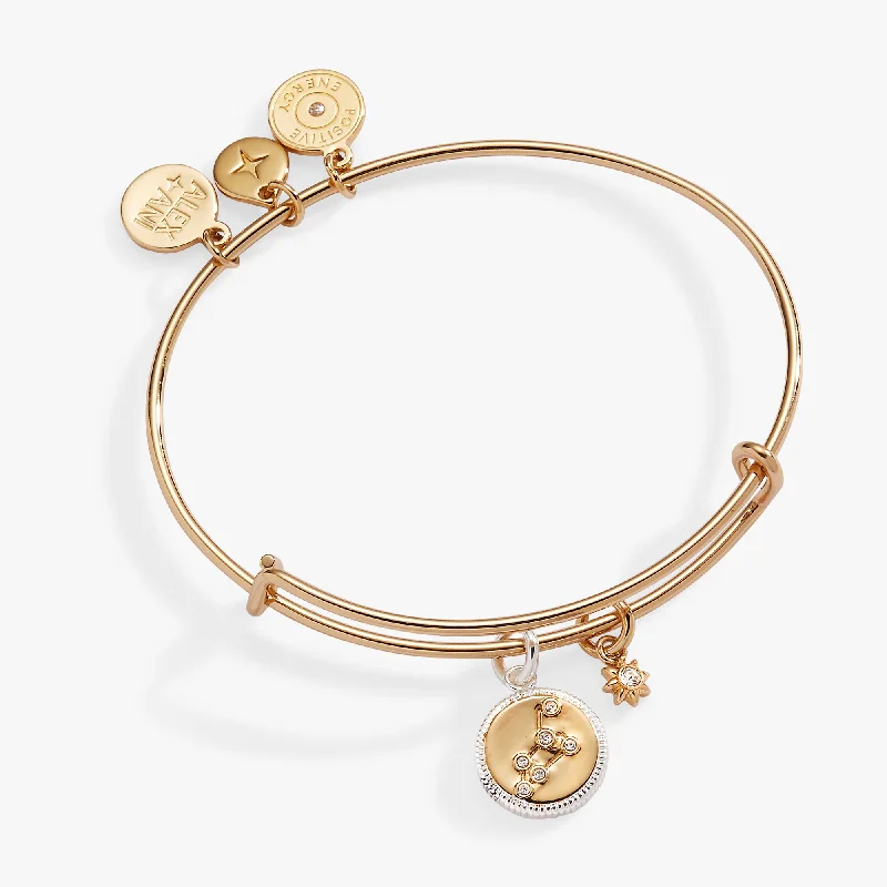 Buy More, Save More On Stunning Jewelry Designs Leo Zodiac Charm Bangle