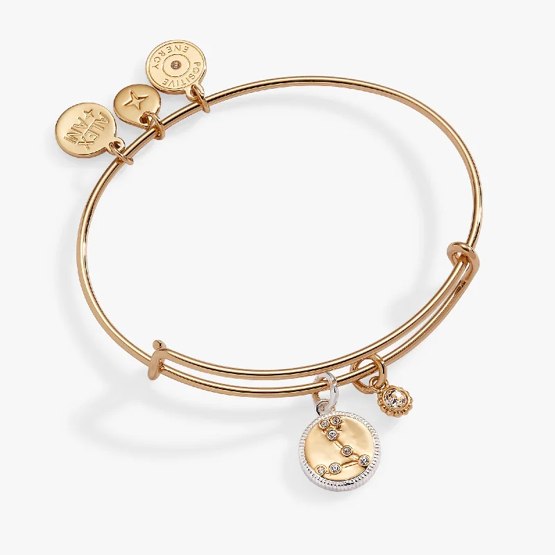 Seasonal Jewelry Clearance – Best Styles At The Lowest Prices Pisces Zodiac Charm Bangle