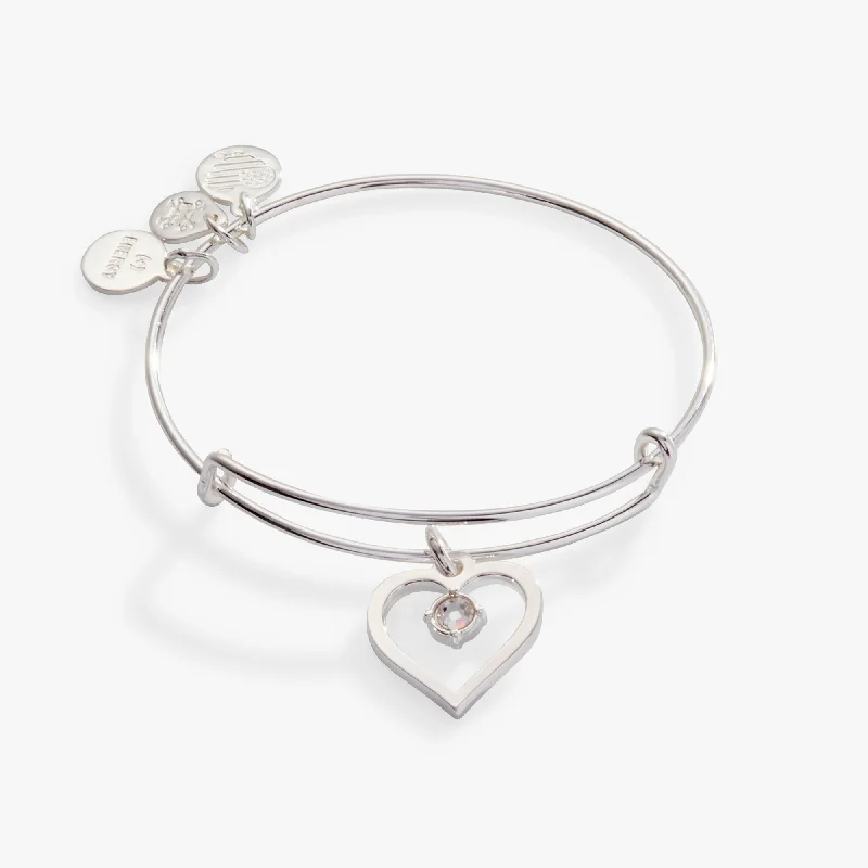 Exclusive Jewelry Bundles At Discounted Prices Crystal in Heart Charm Bangle Bracelet Exclusive Jewelry Bundles At Discounted Prices Crystal in Heart Charm Bangle Bracelet