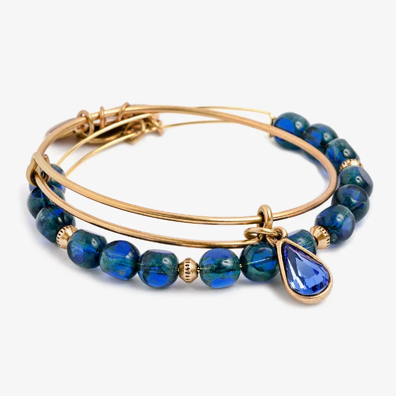 Limited-Time Jewelry Sale – Elegant Styles At Less Crystal Infusion Wisdom Charm Bangle, Set of 2 Limited-Time Jewelry Sale – Elegant Styles At Less Crystal Infusion Wisdom Charm Bangle, Set of 2